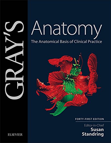 Gray's Anatomy: The Anatomical Basis of Clinical Practice 41st Edition