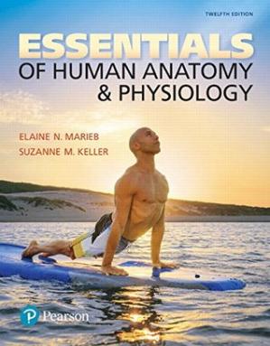 Essentials of Human Anatomy & Physiology 12th Edition