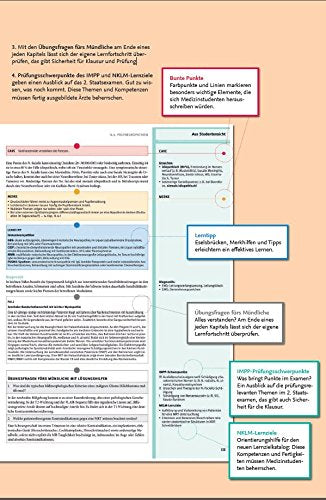 Neurologie hoch2