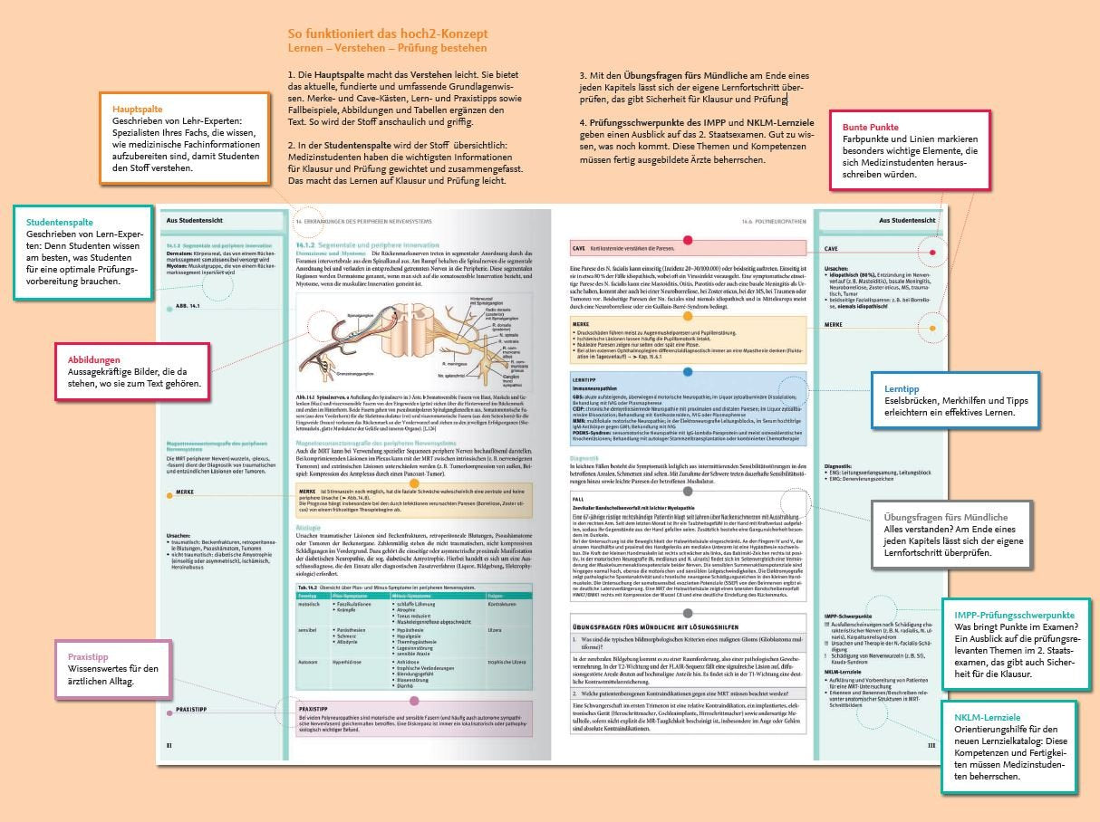 Neurologie hoch2