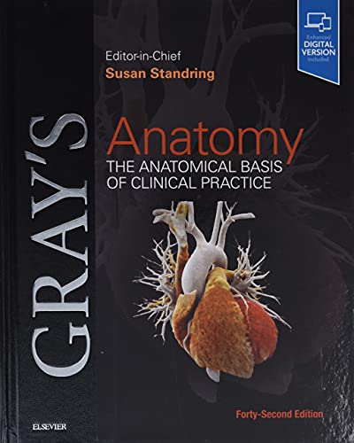 Gray's Anatomy: The Anatomical Basis of Clinical Practice 42nd Edition