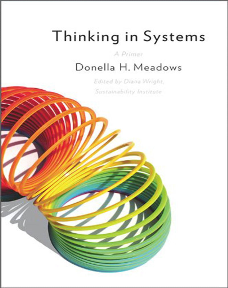 Thinking in Systems: International